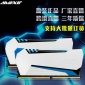 Avexir/宇帷 雷电台式电脑内存条 DDR4 4G/8G 2666灯效同步 2条装
